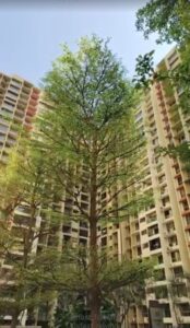 4 BHK Flat For Sale in Sheth Vasant Oasis